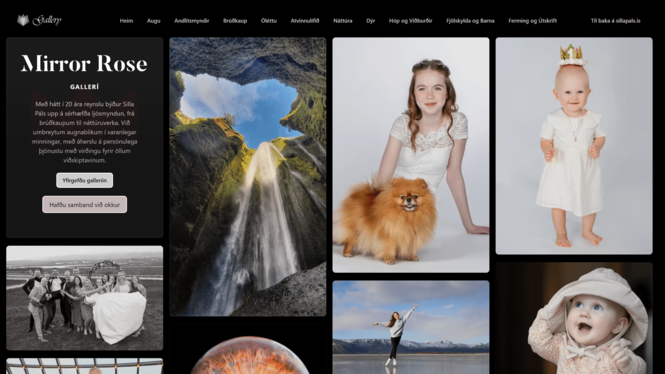 Mirrorrose Sýningarsafn